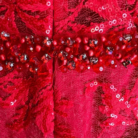 NWT Mac Duggal Gown 12406 Corset Floral Embroidered dress in Red Size 10 - Picture 9 of 10